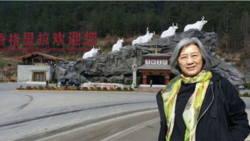 2016年3月在两会期间高瑜被送到云南旅游(王荔蕻推特图片)