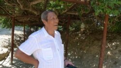 作曲家王西麟从山川草木中汲取灵感 （王西麟提供照片）