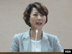 台湾执政党民进党立委陈亭妃