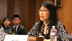 美国圣母大学政治学副教授许田波2019年9月4日在美中经济与安全审查委员会香港听证会上作证(美国之音锺辰芳拍摄)