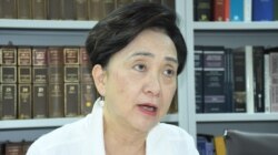 资料照:香港民主党前主席和前立法会议员刘慧卿