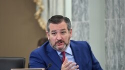 资料照:共和党联邦参议员克鲁兹(Sen. Ted Cruz, R-TX)