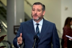 资料照:美国会参议员克鲁兹