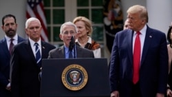 白宫应对新冠疫情团队的传染病专家、美国国家过敏与传染病研究所所长安东尼·福奇医生(Dr. Anthony Fauci)