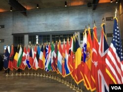 2019年4月3日北约互动论坛上的北约成员国国旗(美国之音黎堡)