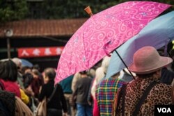 申请者人数众多但井然有序,大家耐心地排队等候。(美国之音记者方正拍摄)