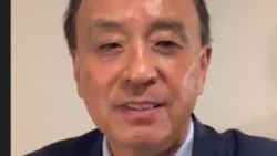 旅美华裔公益活动人士王平 (资料照片)