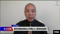 旅美时评人鲁难 (资料照片)