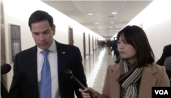 佛罗里达州共和党籍联邦参议员鲁比奥(Sen. Marco Rubio, R-FL)接受美国之音采访。(2019年3月6日)