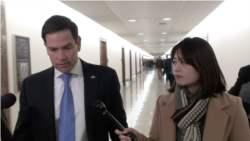 佛罗里达州共和党籍联邦参议员鲁比奥(Sen. Marco Rubio, R-FL)接受美国之音采访。(2019年3月6日)