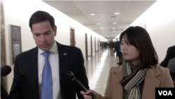 佛罗里达州共和党籍联邦参议员鲁比奥接受美国之音采访。(2019年3月6日)