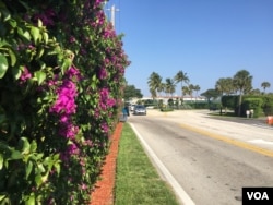 海湖庄园附近没有人道 (美国之音杨晨拍摄)