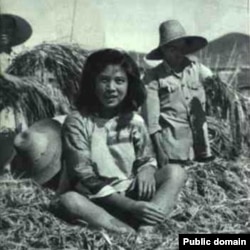 中国大跃进期间的照片显示人坐在密植的稻子上。当时各地竞相伪造粮食高产,种下大饥荒恶果。