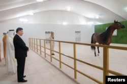 阿布扎比王储穆罕默德在阿联酋总统府对中国国家主席习近平展示他送给习近平的一匹马(2018年7月20日)。
