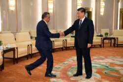 中国国家主席习近平在北京人大会堂会晤到访的世界卫生组织总干事谭德塞。(2020年1月28日)