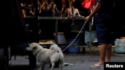 资料照:广西玉林市一名牵着宠物犬的人路过卖狗肉的摊子。(2018年6月21日)