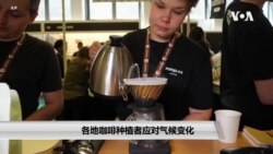 各地咖啡种植者应对气候变化 各地咖啡种植者应对气候变化