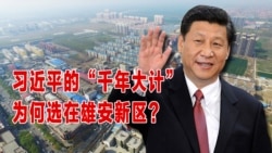 时事大家谈:习近平的“千年大计”,为何选在雄安新区? 时事大家谈:习近平的“千年大计”,为何选在雄安新区?