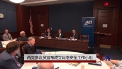 美两党参议员成立网络安全小组 美两党参议员成立网络安全小组