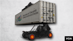 入世20年,中国拖垮了WTO?