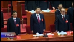 时事大家谈:中共新党章,是否为习近平量身订造? 时事大家谈:中共新党章,是否为习近平量身订造?