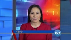 နေ့စဉ် တီဗွီသတင်းလွှာ (၀၆-၁၉ -၂၀၂၀)  နေ့စဉ် တီဗွီသတင်းလွှာ (၀၆-၁၉ -၂၀၂၀)