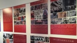 专访学者胡平(2):谈文革研究与文革经验 专访学者胡平(2):谈文革研究与文革经验