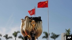 香港抗议人士爬上紫荆花广场的大花坛举行抗议。(美联社照片,2017年6月28日)