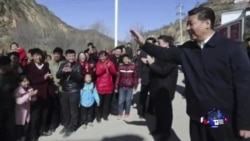 焦点对话:春节政治,见中国高层动向? 焦点对话:春节政治,见中国高层动向?