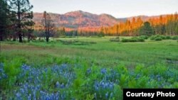 阿克森草原风景如画(国家公园管理局图片)