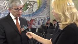 Що спостерігачі від української діаспори кажуть про вибори. Відео