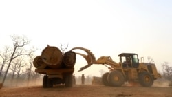 တရုတ်-မြန်မာ သစ်မှောင်ခိုလုပ်ငန်း တရုတ်-မြန်မာ သစ်မှောင်ခိုလုပ်ငန်း