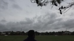 Những người "vô tổ quốc" Những người "vô tổ quốc"