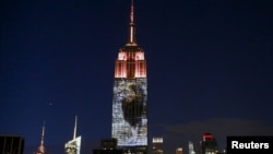 纽约帝国大厦星期六晚间投影津巴布韦狮王塞西尔的图像(2015年8月1日)