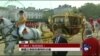 VOA连线：英国女王举行隆重仪式欢迎习近平