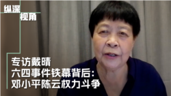 专访戴晴 :六四事件铁幕背后:邓小平陈云权力斗争 专访戴晴 :六四事件铁幕背后:邓小平陈云权力斗争