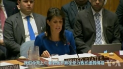 美国及盟国：打击叙利亚是合法、正当的