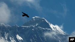 资料照:雄鹰飞过珠穆朗玛峰