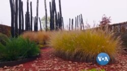 နိုင်ငံစုံပန်းခြံတွေ စုစည်းထားတဲ့ဥယျာဉ်ကြီး နိုင်ငံစုံပန်းခြံတွေ စုစည်းထားတဲ့ဥယျာဉ်ကြီး