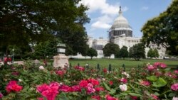 စက်တင်ဘာ ၁၁ တိုက်ခိုက်မှုအတွက် Saudi Arabia ကိုတရားစွဲဖို့ ကန်အောက်လွှတ်တော်အတည်ပြု စက်တင်ဘာ ၁၁ တိုက်ခိုက်မှုအတွက် Saudi Arabia ကိုတရားစွဲဖို့ ကန်အောက်လွှတ်တော်အတည်ပြု