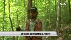 环保组织拯救森林和工作机会 环保组织拯救森林和工作机会