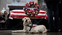 ကွယ်လွန်သူ သခင်အနားကမခွါနိုင်တဲ့ Sully ရဲ့ နောက်ဆုံးဂါရဝ ကွယ်လွန်သူ သခင်အနားကမခွါနိုင်တဲ့ Sully ရဲ့ နောက်ဆုံးဂါရဝ