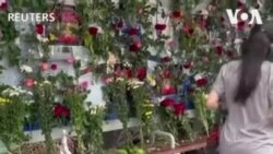 ရန်ကုန်မှာ ပန်းသပိတ်ဆင်နွှဲ ရန်ကုန်မှာ ပန်းသပိတ်ဆင်နွှဲ