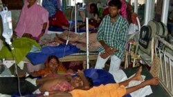 ဂျပန်ဦးနှောက်ရောင် ကာကွယ်ဆေး နိုင်ငံတဝှမ်းထိုးပေး ဂျပန်ဦးနှောက်ရောင် ကာကွယ်ဆေး နိုင်ငံတဝှမ်းထိုးပေး