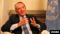 联合国副秘书长埃利亚松。(资料图片)