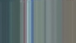 بي بي شیرینه – وي او اې ډيوه په ټیلې ویژن بي بي شیرینه – وي او اې ډيوه په ټیلې ویژن