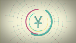 តើ​ហេតុអ្វី​បាន​ជា​ចិន​បង្កើត​រូបិយប័ណ្ណ​ឌីជីថល​ផ្ទាល់​ខ្លួន?