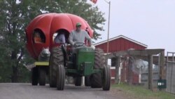 Традиції Гелловіну у цифрах: Як гарбуз став символом свята мертвих. Відео Традиції Гелловіну у цифрах: Як гарбуз став символом свята мертвих. Відео