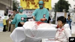 资料照片:一名法轮功学员2006年6月15日在欧洲委员会前抗议他们所说的中国摘除法轮功学员器官的犯罪行为。