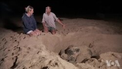 每年大约一百名野生动物保护者殉职 每年大约一百名野生动物保护者殉职